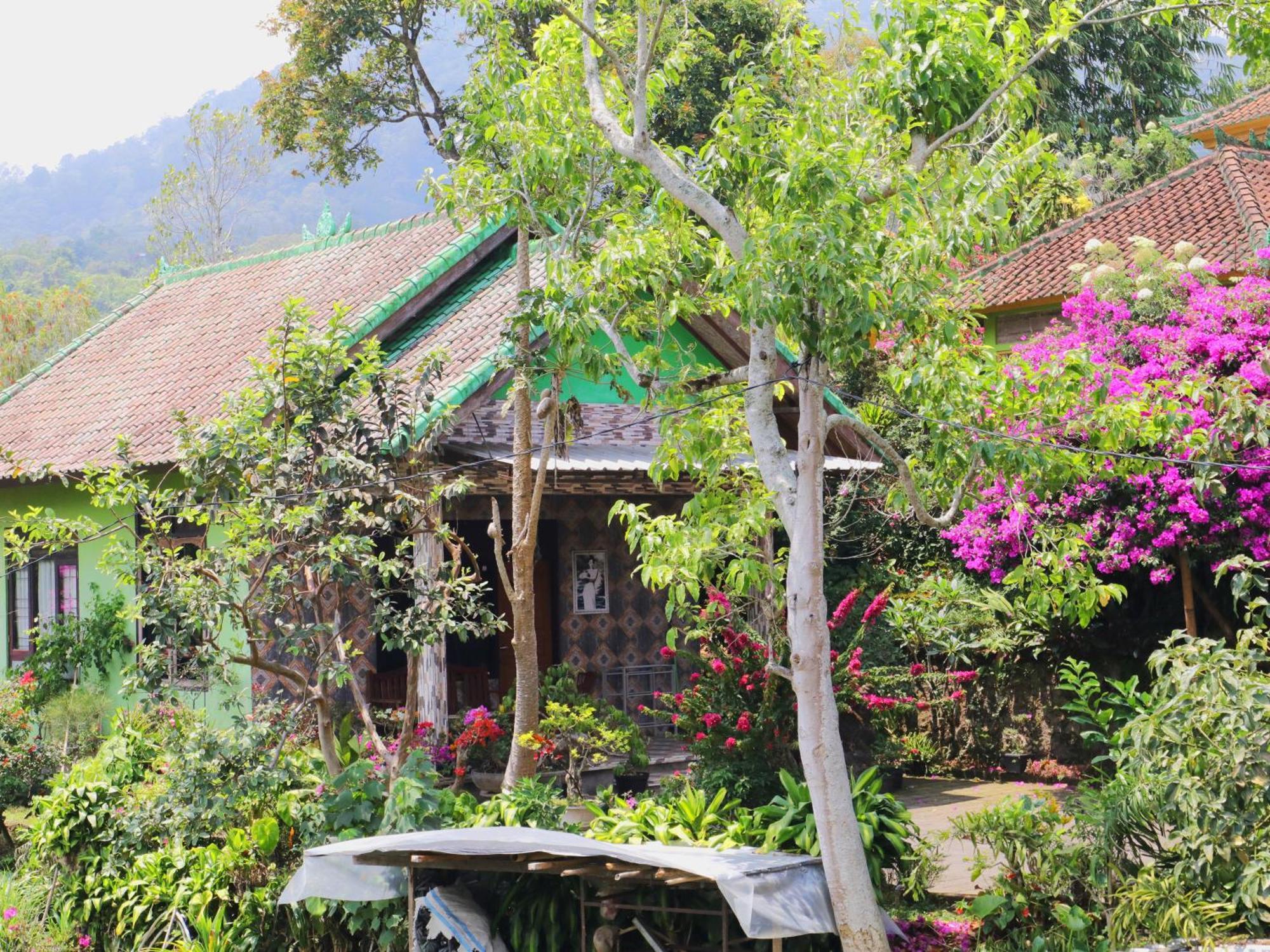 Dajan Buyan Homestay 브두굴 외부 사진